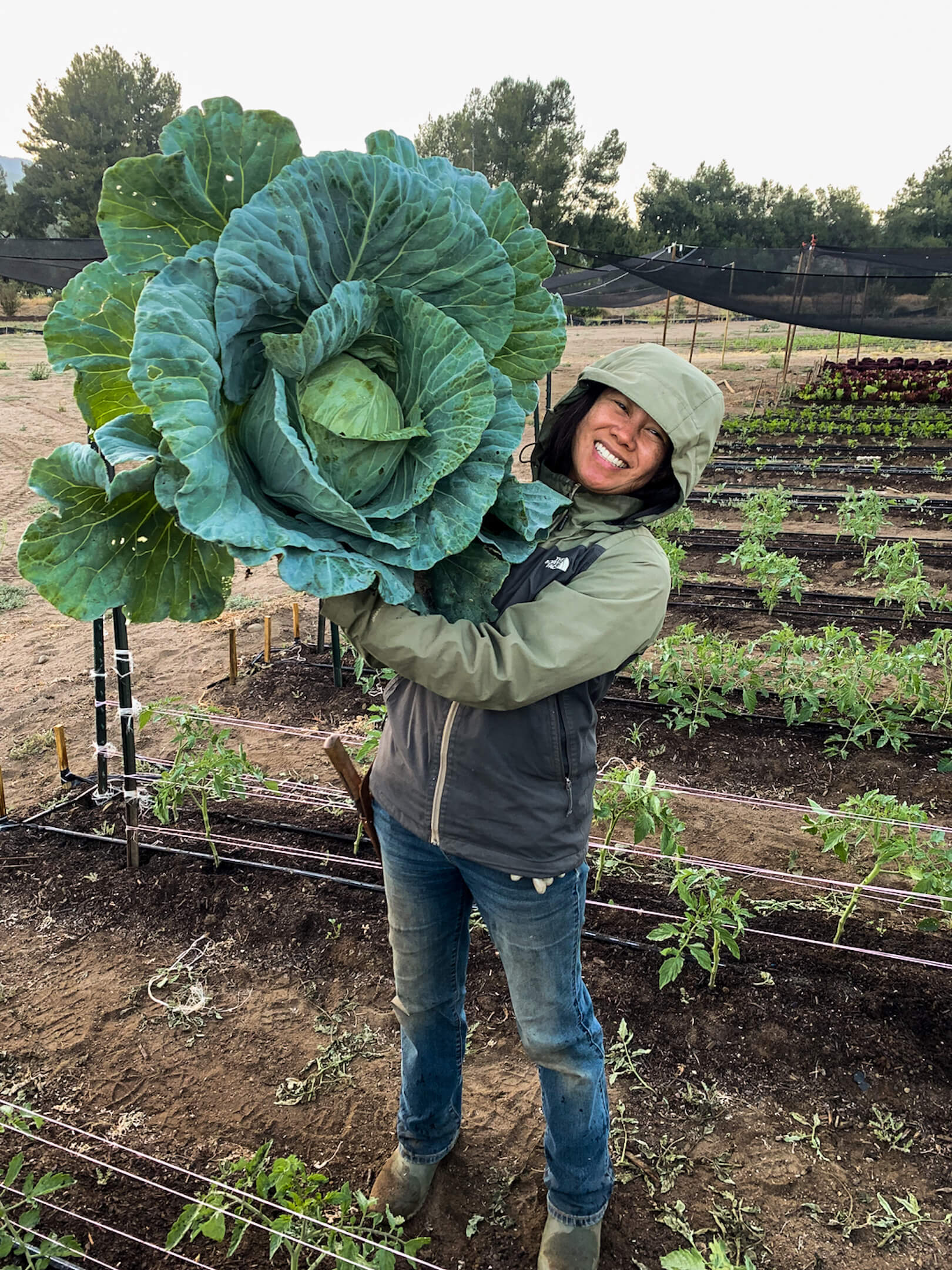 Pauma Tribal Farms Celebrating the Fruits of the Land Article